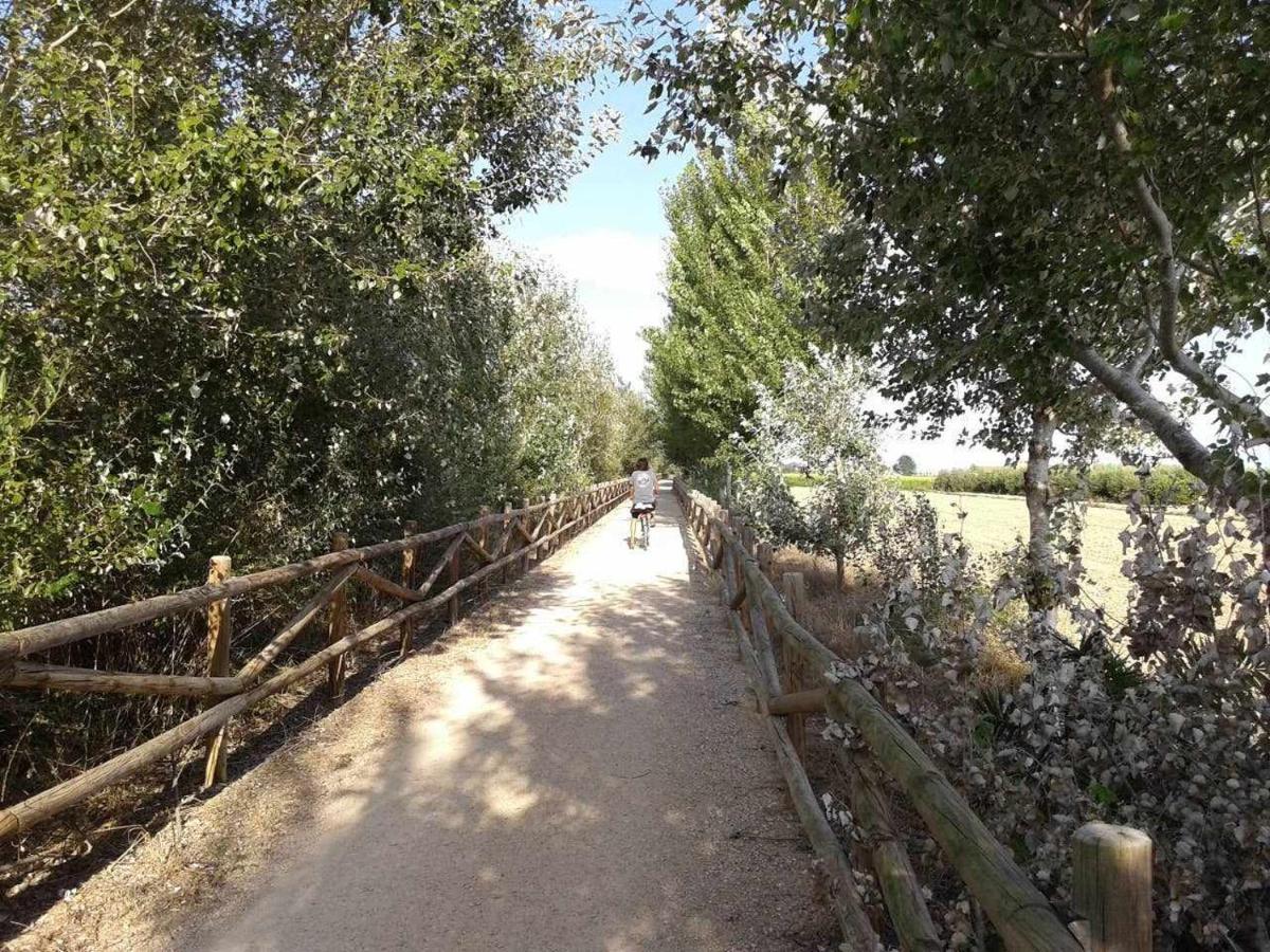 Casetes del Delta Sant Jaume d'Enveja Exterior foto